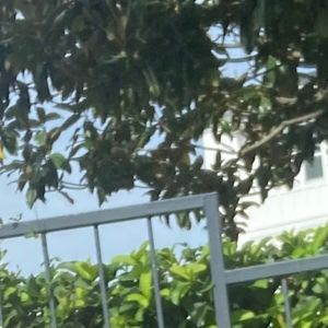 Meet your Posher, Gabby